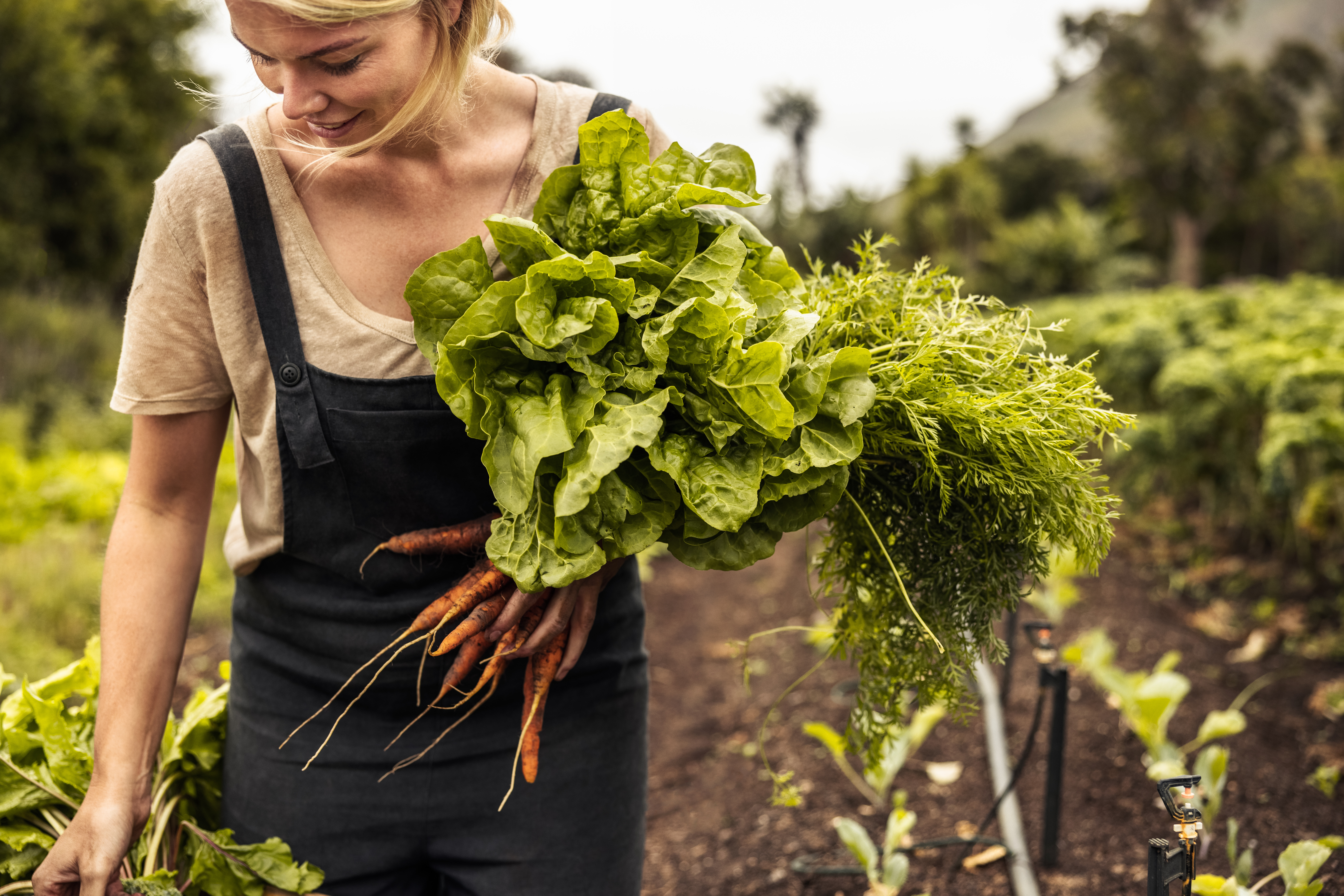 Agricultura de la mano de Sostenibilidad