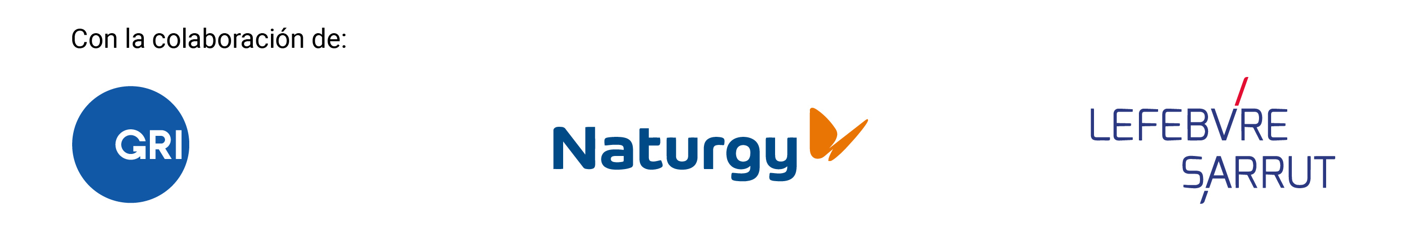 Colaboradores Evento GRI