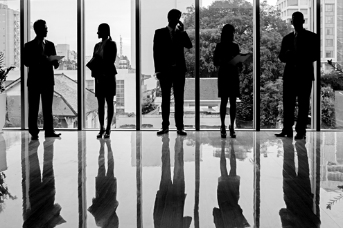 Conoce a nuestro equipo