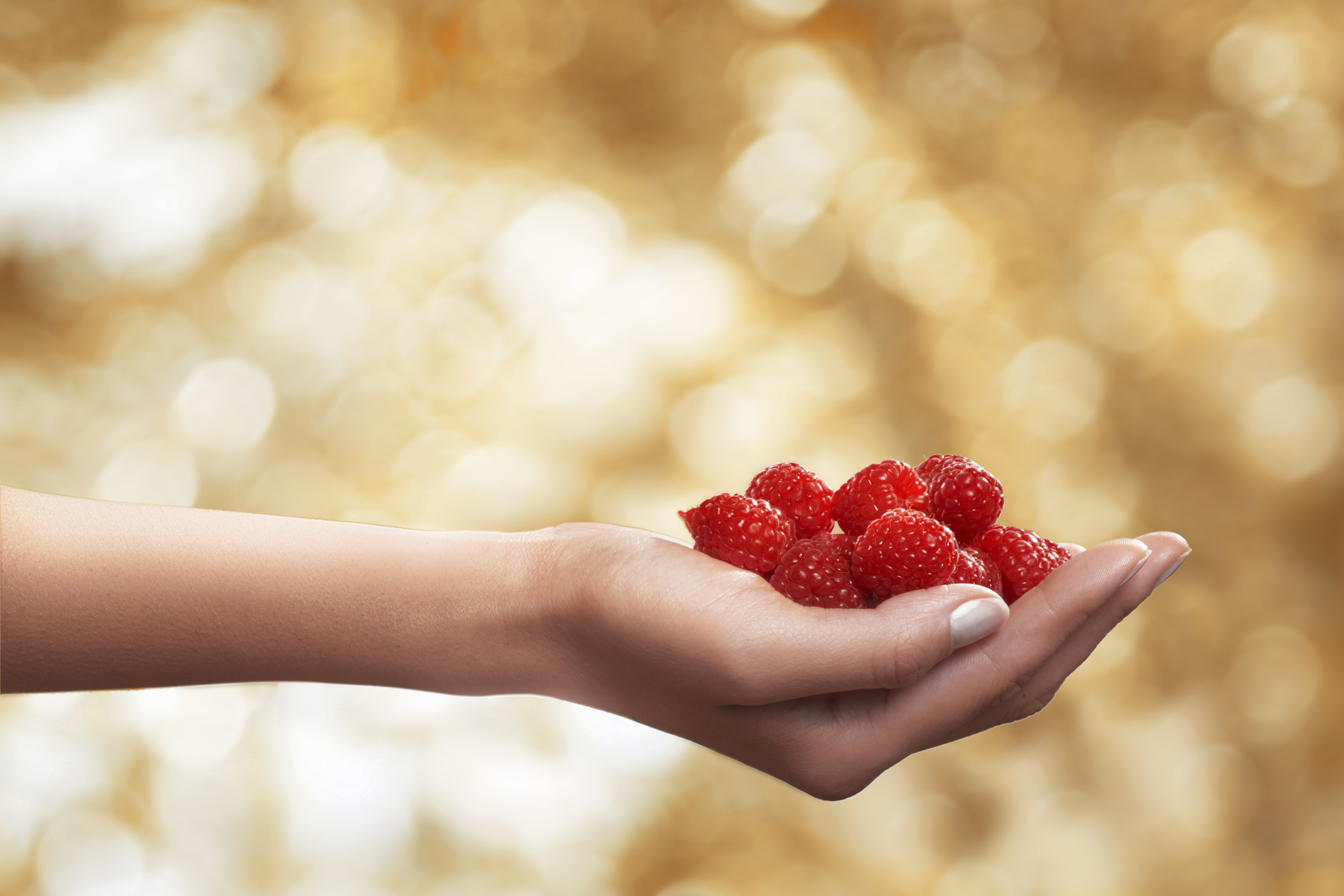 green deal europeo y la alimentacion sostenible