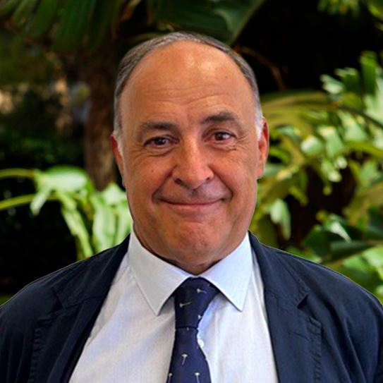 socio de seguros de crowe