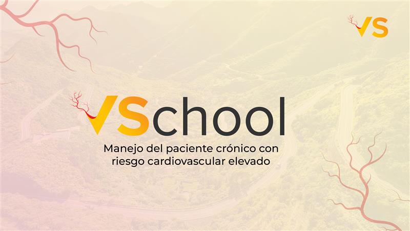 VSCHOOL 2026-2027