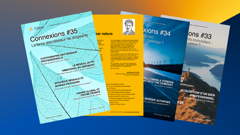 Magazine Connexions Crowe France