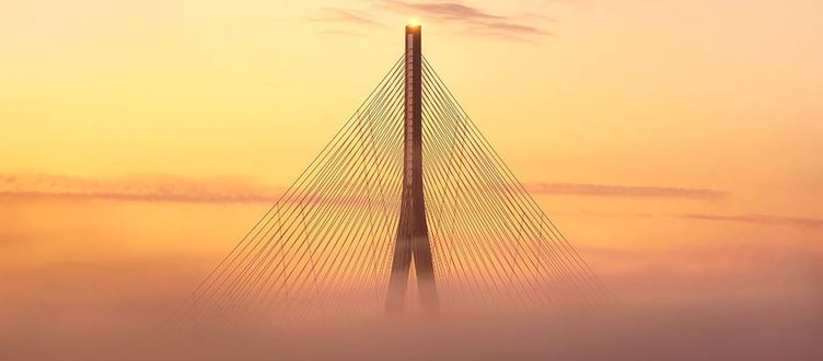 Droit des sociétés et social