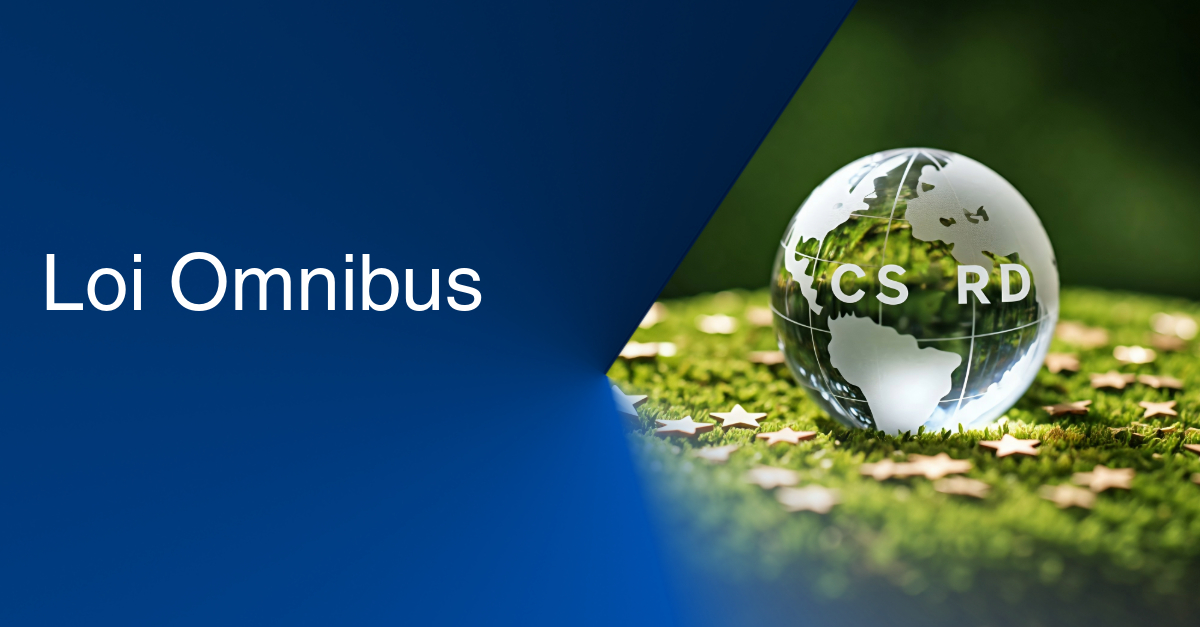 loi omnibus