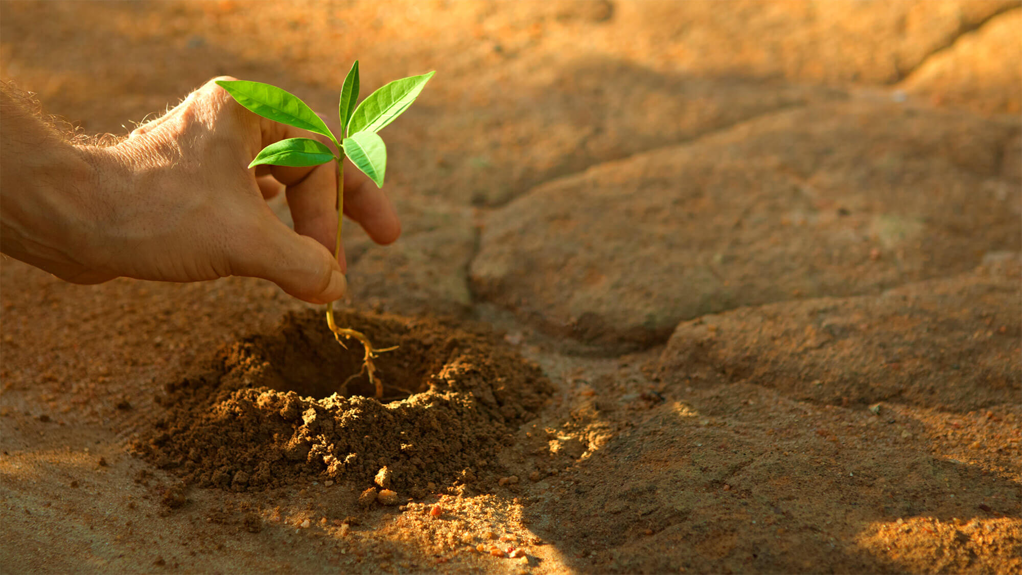 Social and environmental responsibility