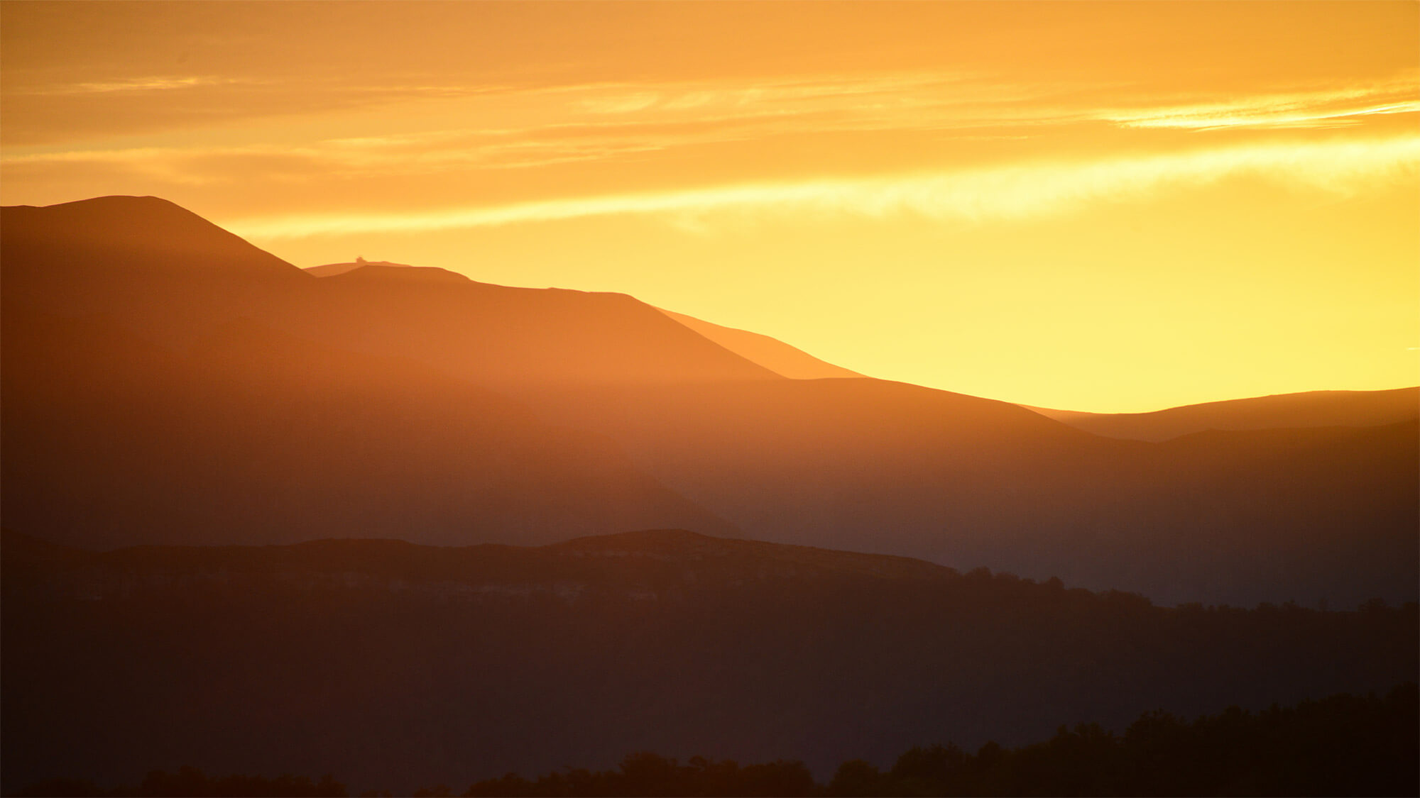 Comparison of Holding Regimes in Europe Middle East and Africa