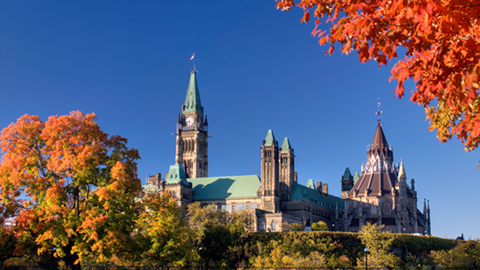 linkable card image placeholder