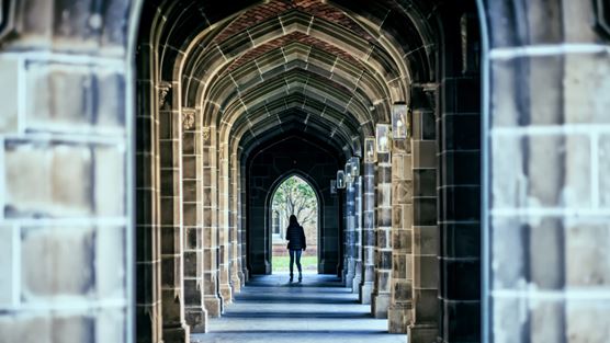 Top Risk Areas for Internal Audit