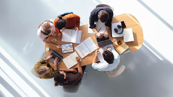 Group of colleagues working on project areal view