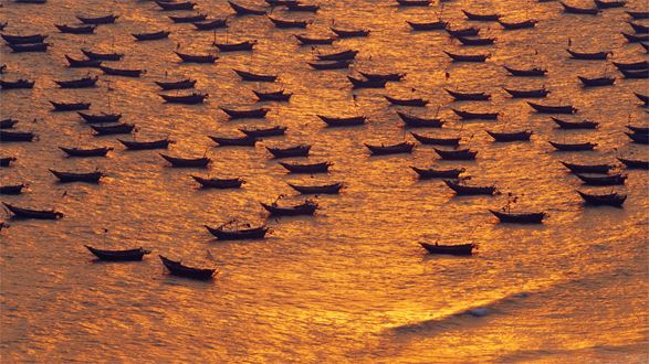 boats working service .Crowe (HK) CPA Limited