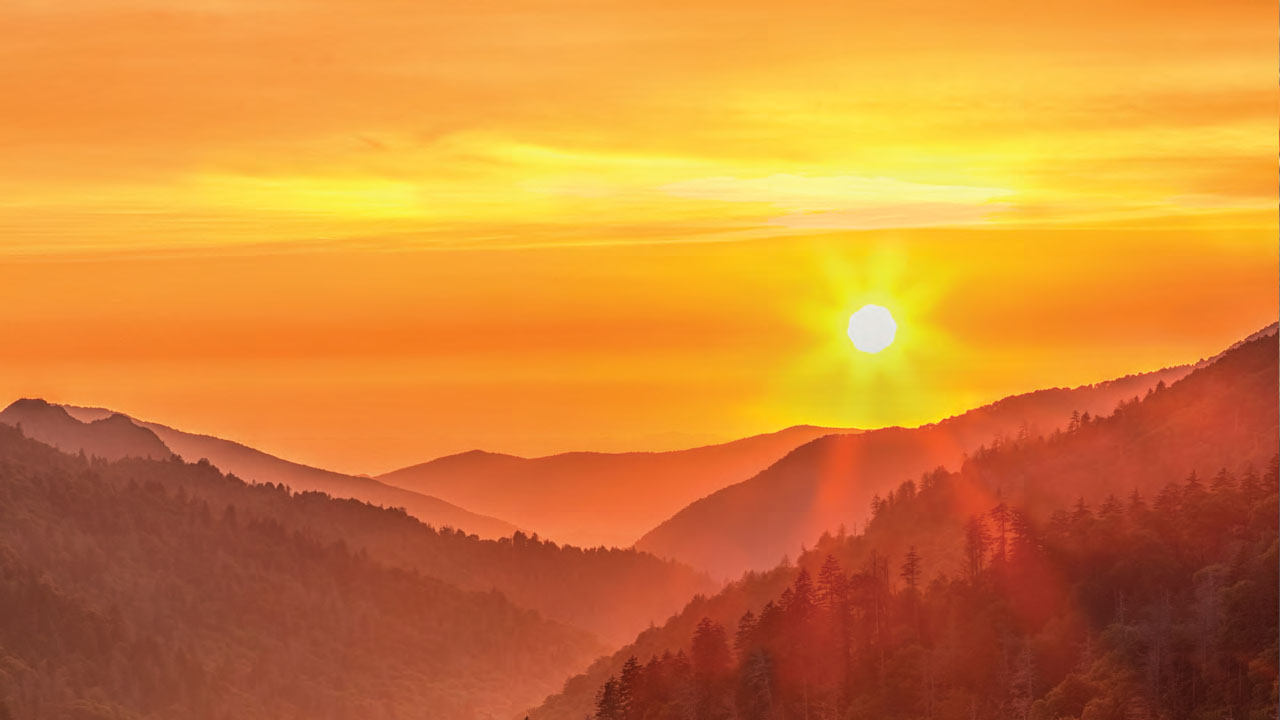 Enhance Your Cross-Border Tax Compliance