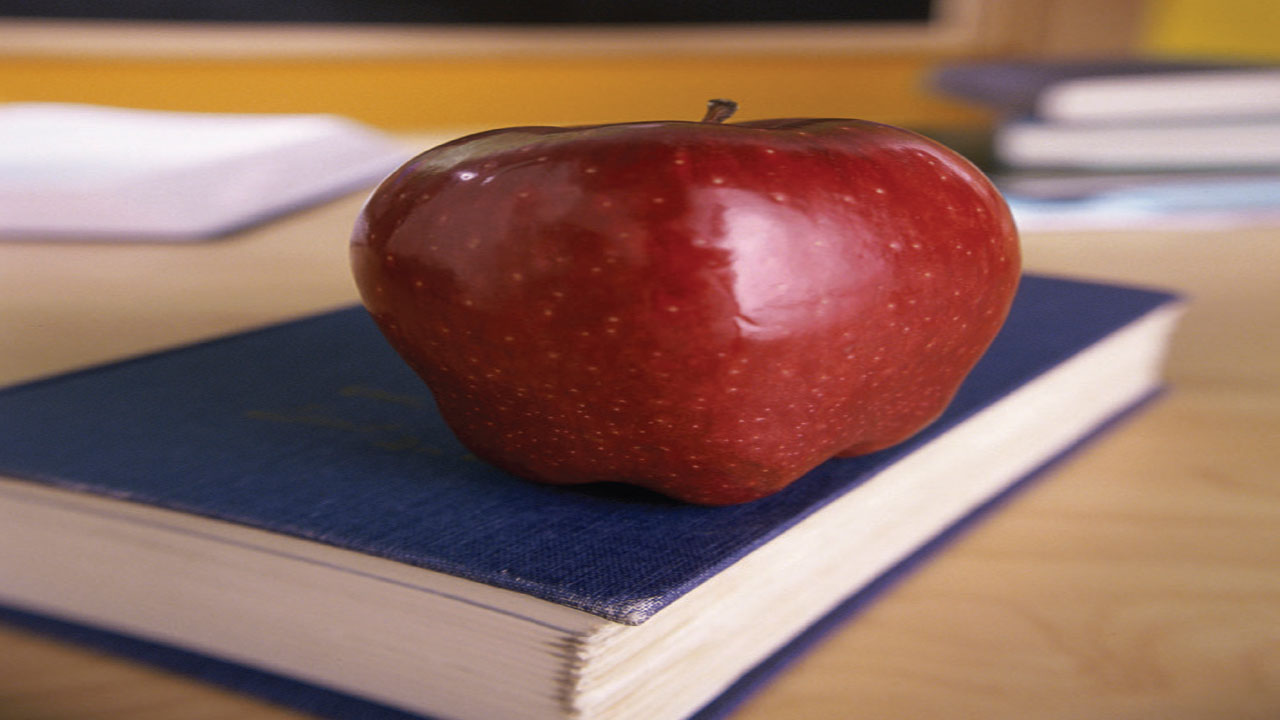 Four Lessons Learned From M&A