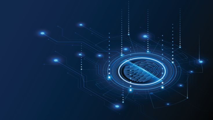 Insight_Web_Personal Data Why It Matters 