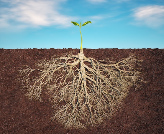 AI Automation in ERP: Building on the Right Foundation