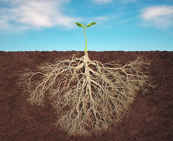 AI Automation in ERP: Building on the Right Foundation