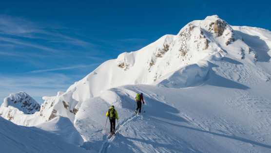 Leading ERP with Impact A Practical Guide for IT Leaders