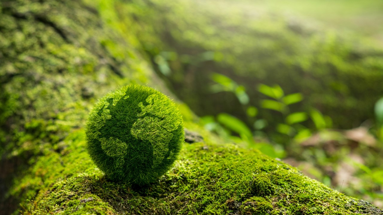 Environmental, Social and Governance (ESG) reporting