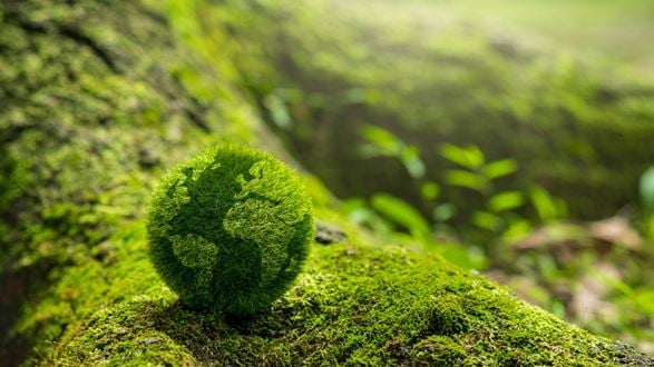 Environmental, Social and Governance (ESG) reporting