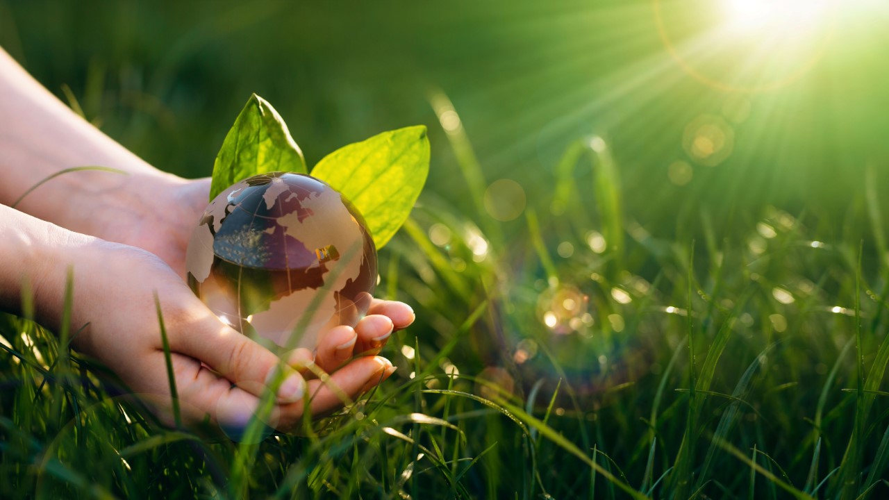 Hands holding a glass globe with leaves and grass, sun shining