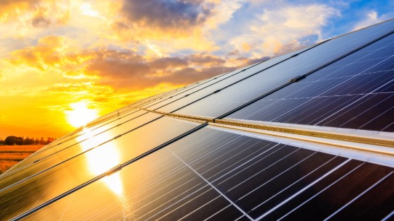 Angled shot of solar panels in the foreground with the sun rising in the background