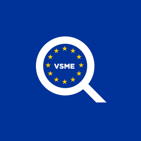 Logo of the Voluntary Reporting Standard for SMEs