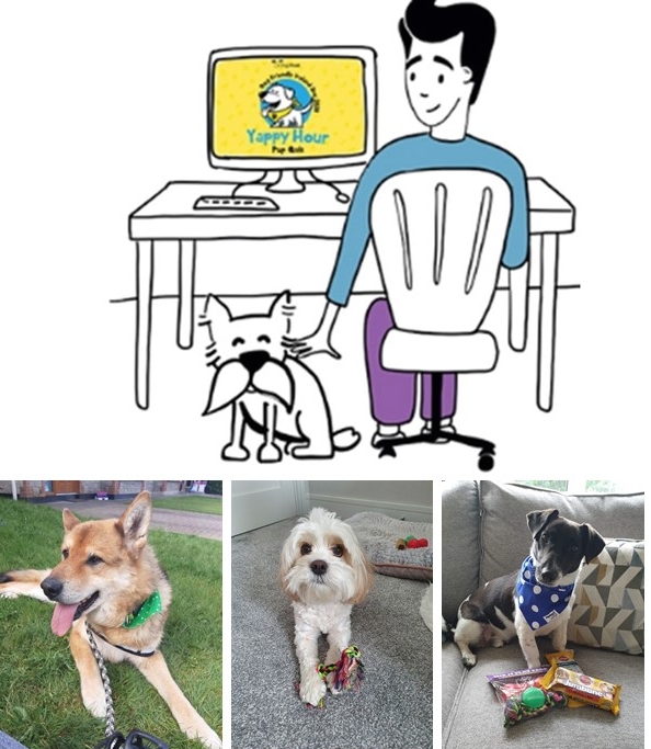 Crowe Ireland virtual dog event