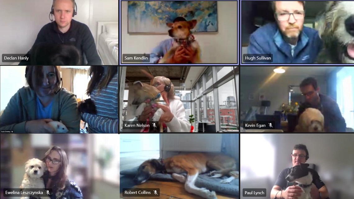 Crowe Ireland Dog event