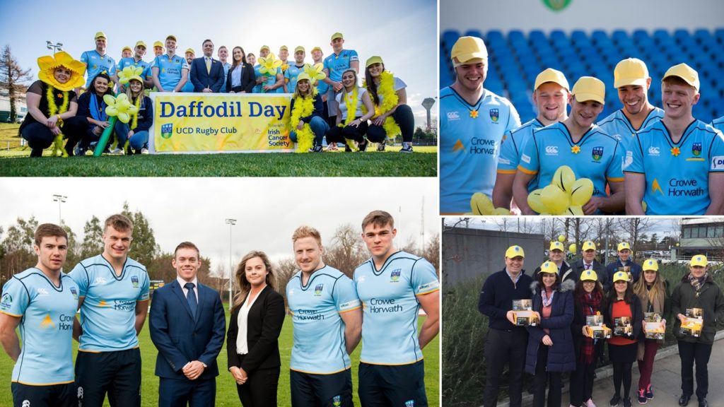 Crowe Ireland supports Daffodil Day with UCD RFC