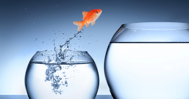 Non Profit febbraio 2029 1