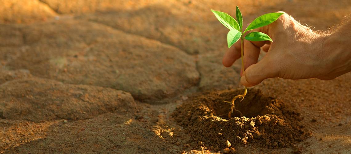 Crowe Bompani Academy