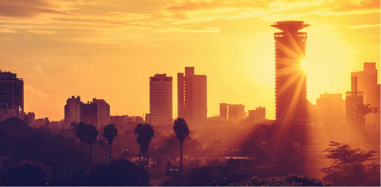 crowe Infrastucture africa
