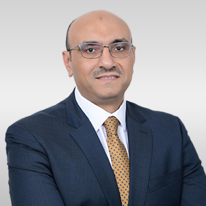 Mahmoud Abdelmonem Ahmed