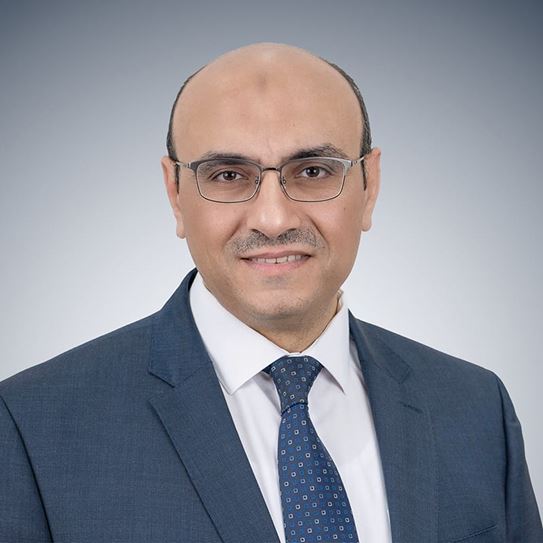 Mahmoud Abdelmonem Ahmed