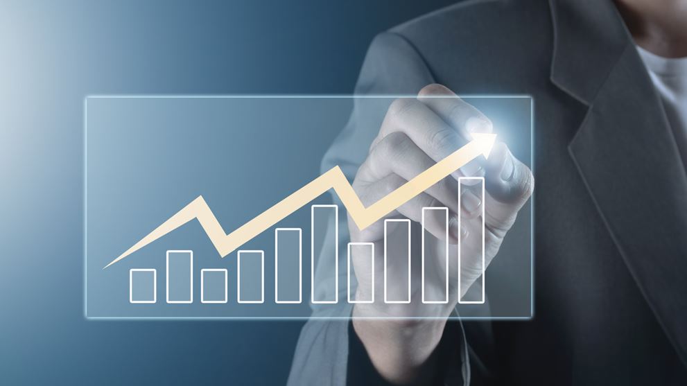 Why Strong Governance Matters as Businesses Grow