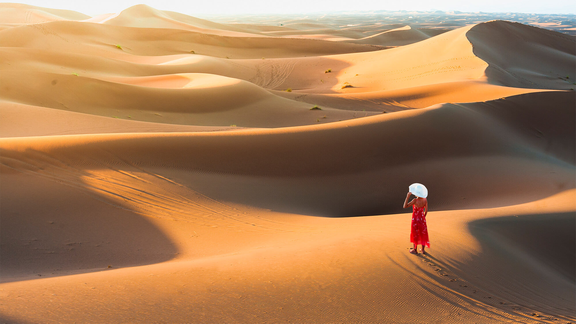 Transparency report 2020