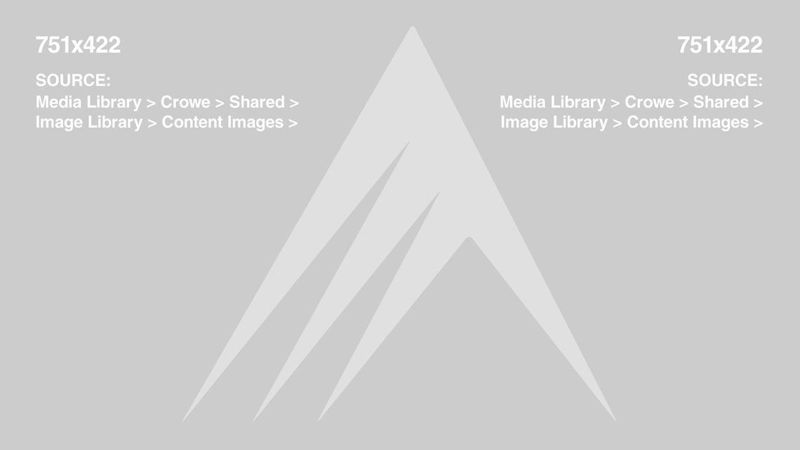 Large Placeholder Large Placeholder