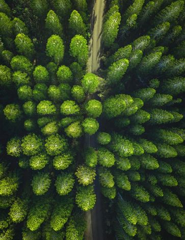 Crowe MNE - Sustainability 