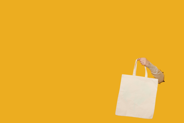 Plastic Fee Maldives