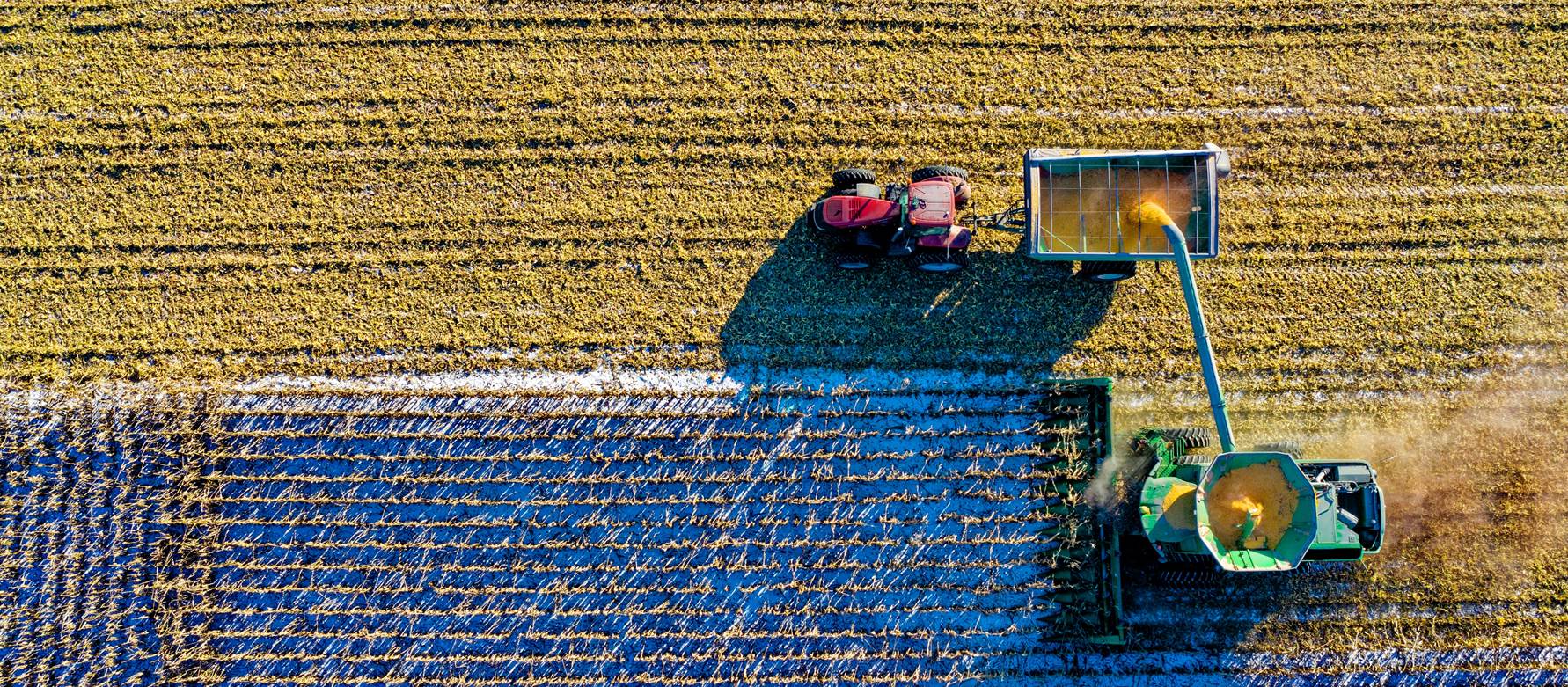 Agriculture