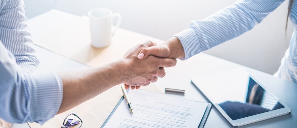 Professional Hand Shake 