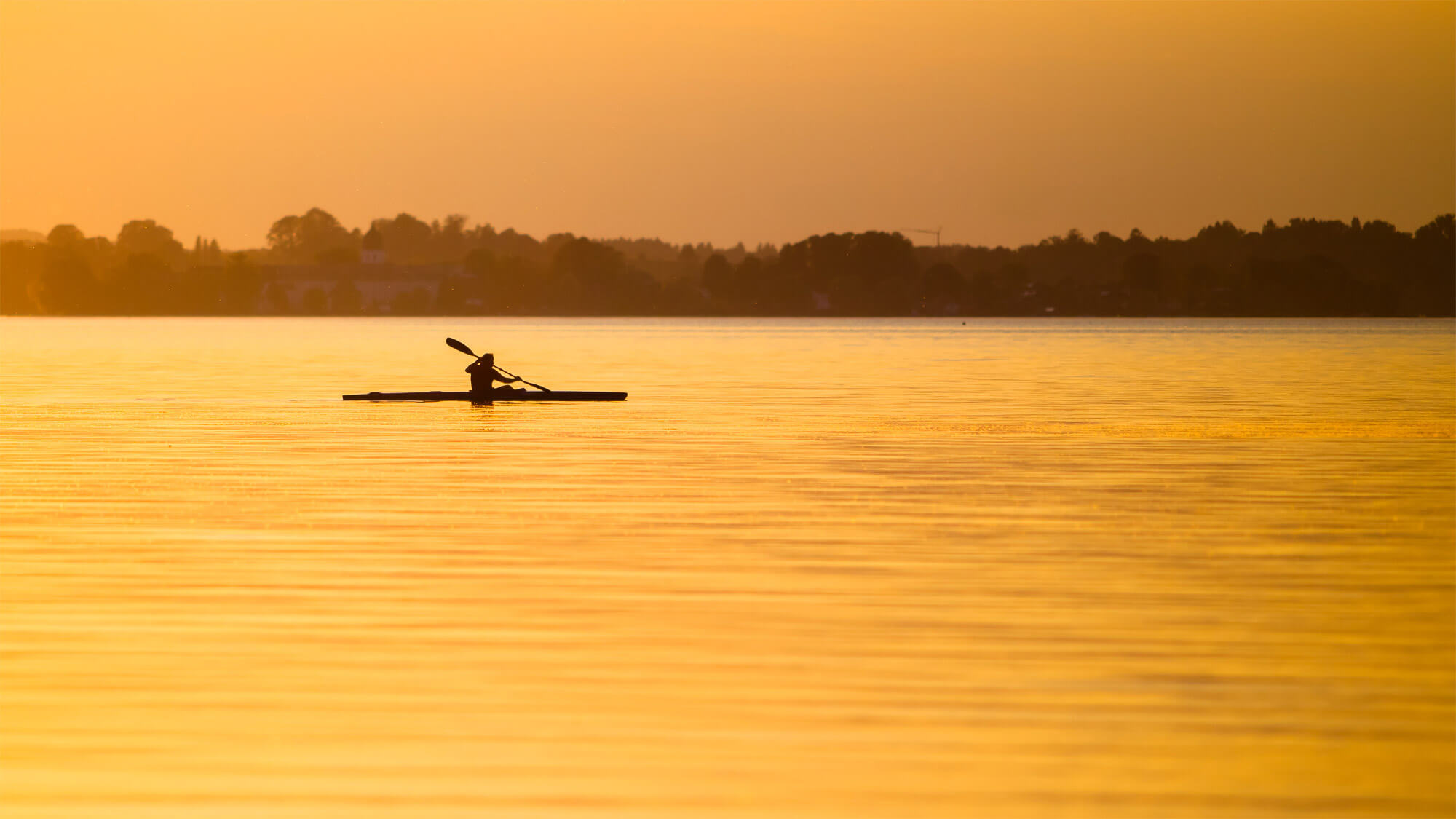 Tax Compliance Failure Leads to Penalties