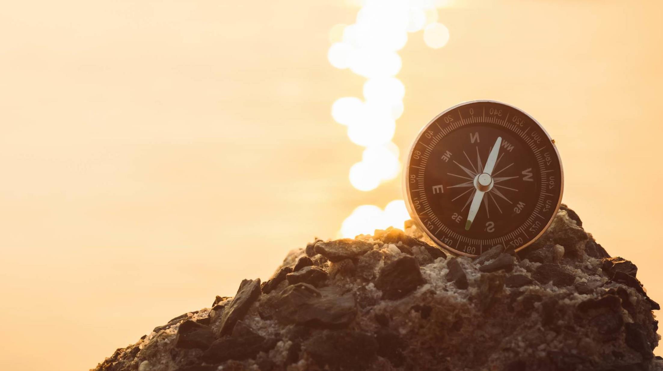 Understanding Judicial Management: A Lifeline for Financially Distressed Companies