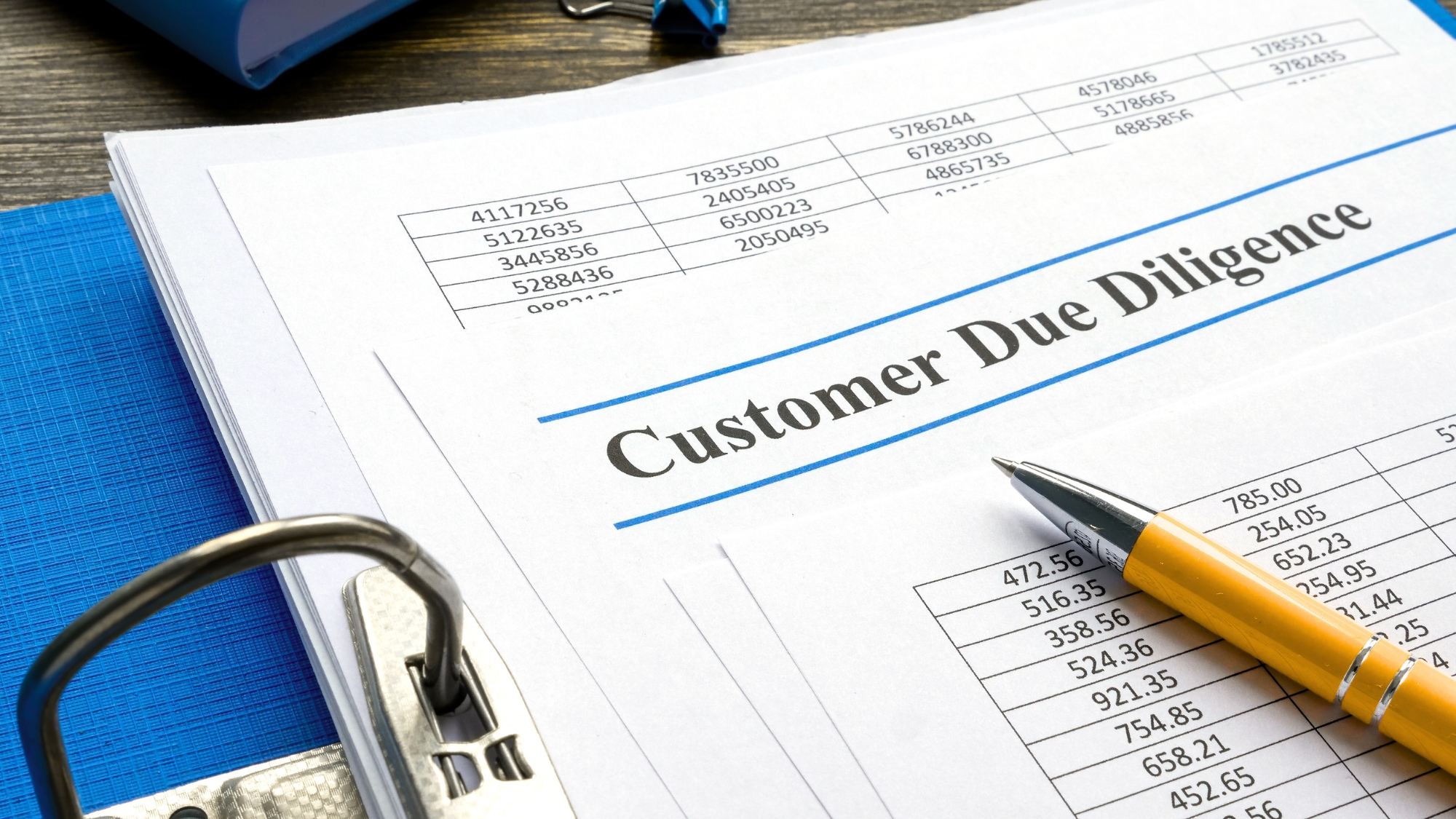Customer Due diligence report in the blue folder