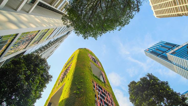 Sustainable Urban Architecture with Vertical Garden