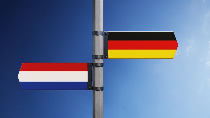 vlaggen