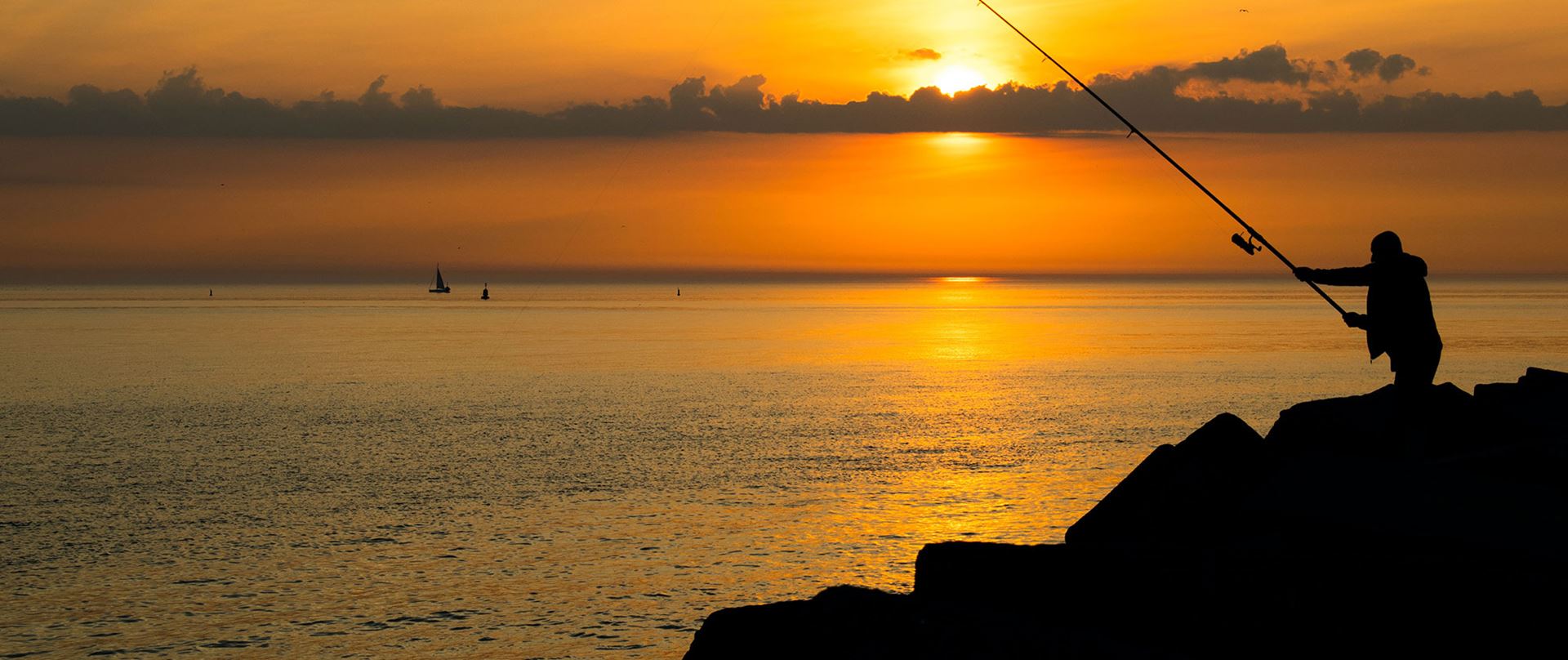Fisker, hav og solnedgang.