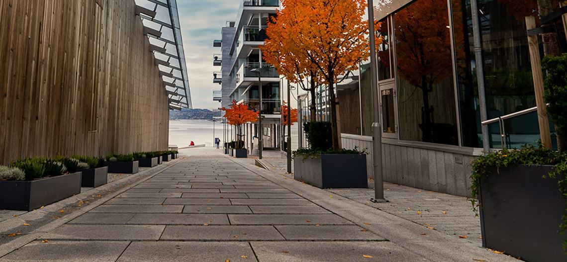 Business street by the sea Business street by the sea