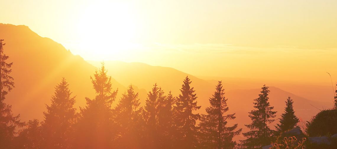 Forest and mountains in sunrise Forest and mountains in sunrise