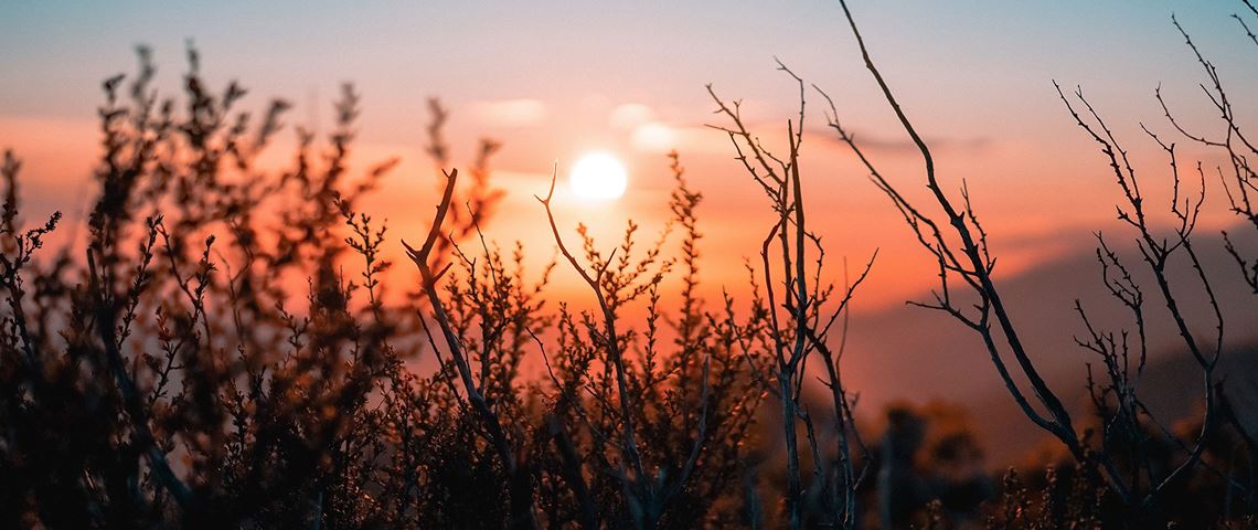 Sun and nature Sun and nature